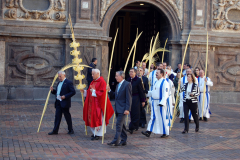 Domingo de Ramos.