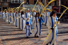Domingo de Ramos.