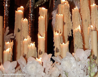 Detalle del Paso.