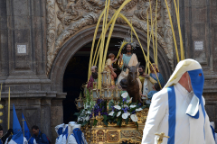 Paso titular. Autora: Eugenia Aragonés.