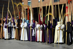 Representaciones en Domingo de Ramos.