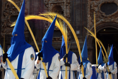 Sección de palmas.