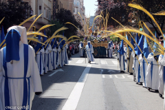 Sección de palmas.