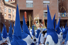 Sección de tambores, timbales y bombos. Autora: Eugenia Aragonés.