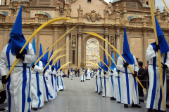 Sección de palmas.