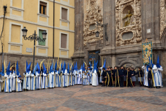 Sección de palmas.